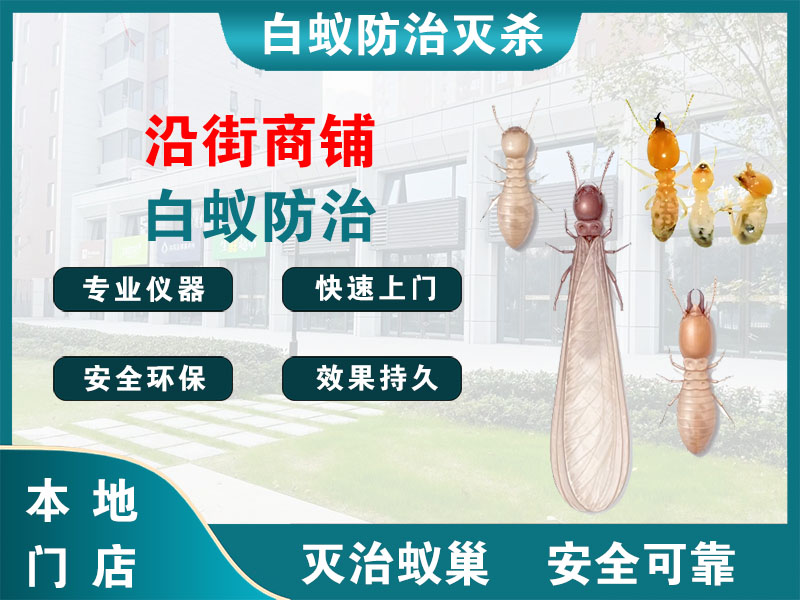 龙湾区沿街商铺白蚁防治