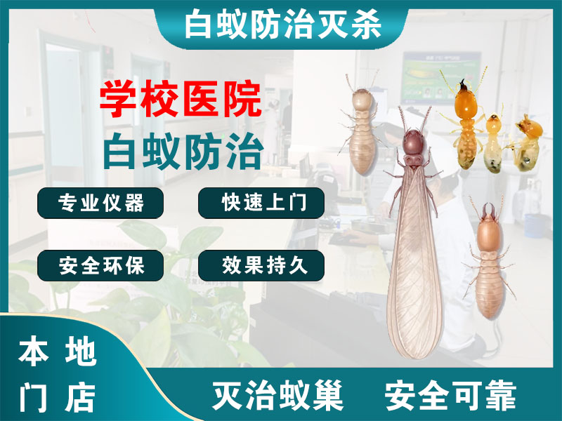龙湾区学校医院白蚁防治