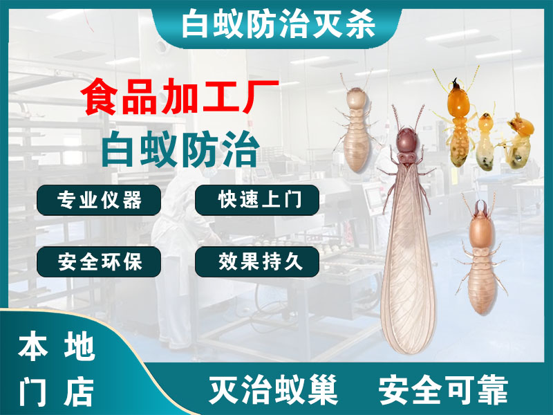 龙湾区食品加工厂白蚁防治