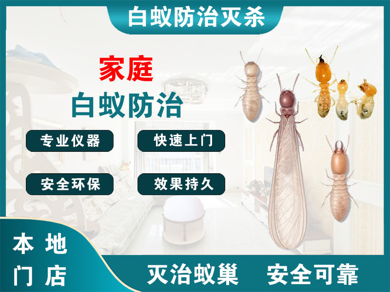 龙湾区家庭白蚁防治