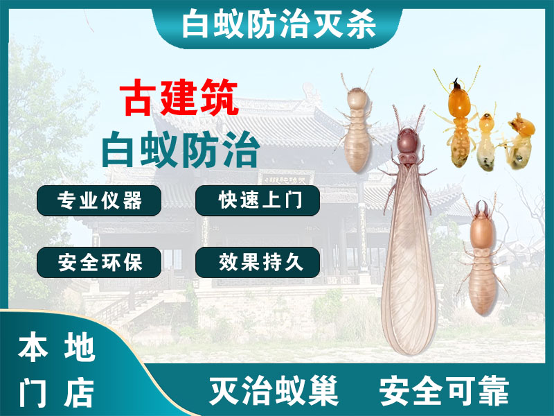 龙湾区古建筑白蚁防治