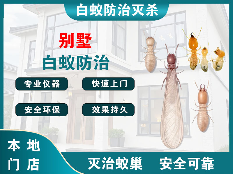 龙湾区别墅白蚁防治